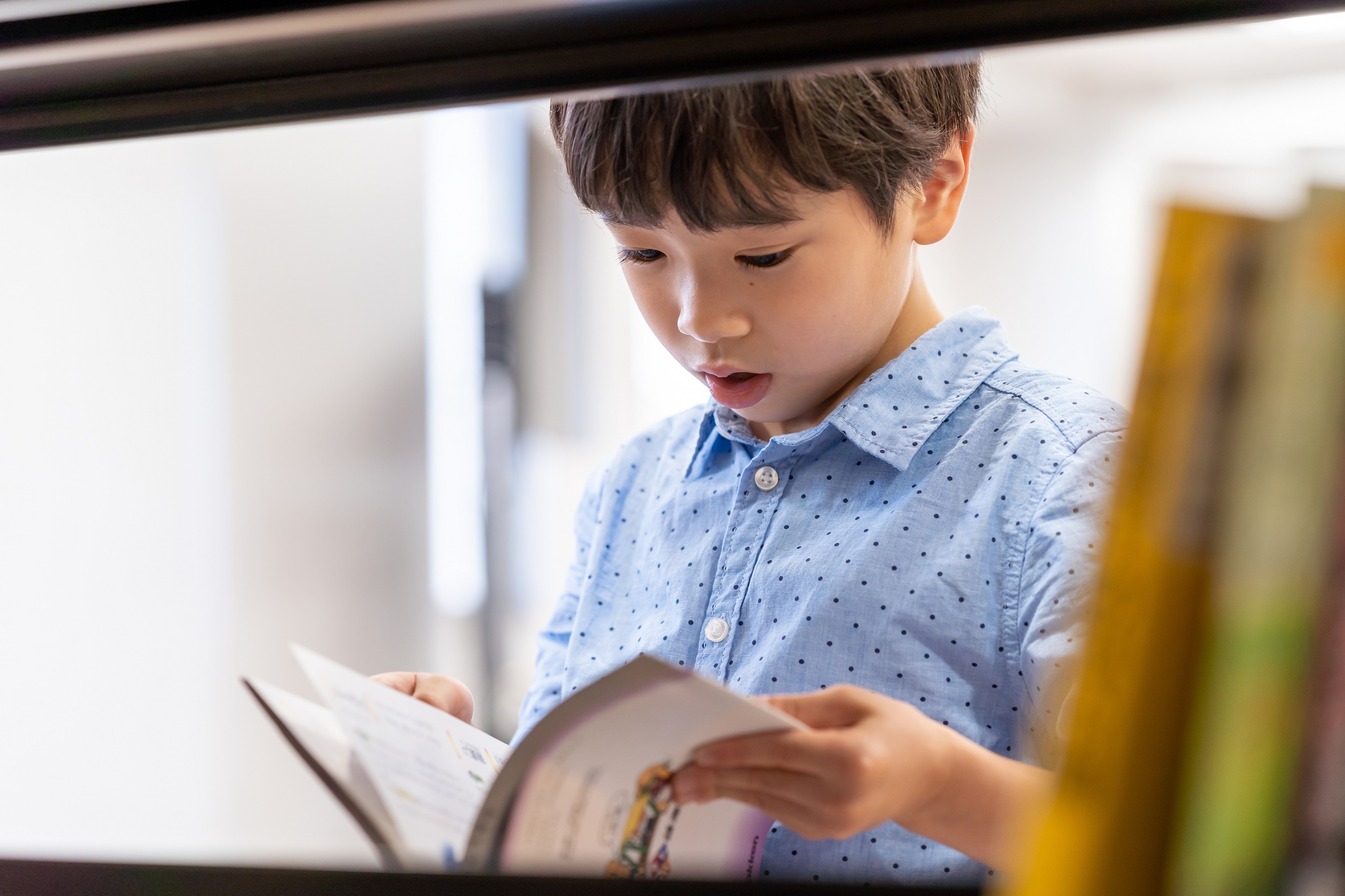 図書館で本を読む小学生